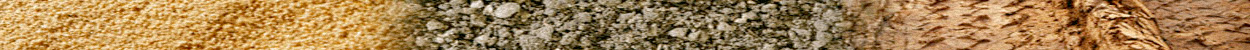 A horizontal border image of sand, gravel, and dirt